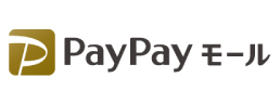 Online paypay banner